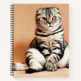 可愛い子猫が手足を伸ばした ノートブック