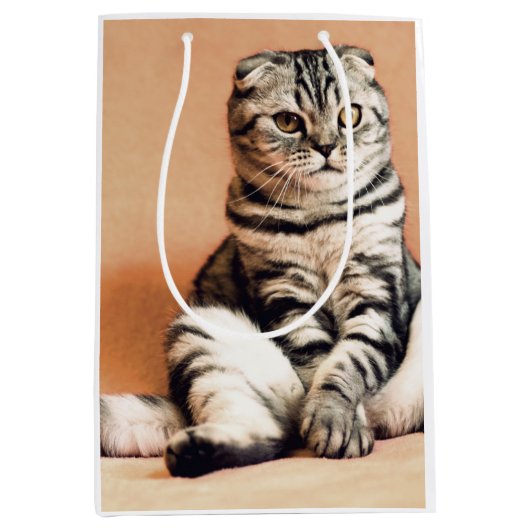 可愛い子猫が手足を伸ばした ミディアムペーパーバッグ (正面)