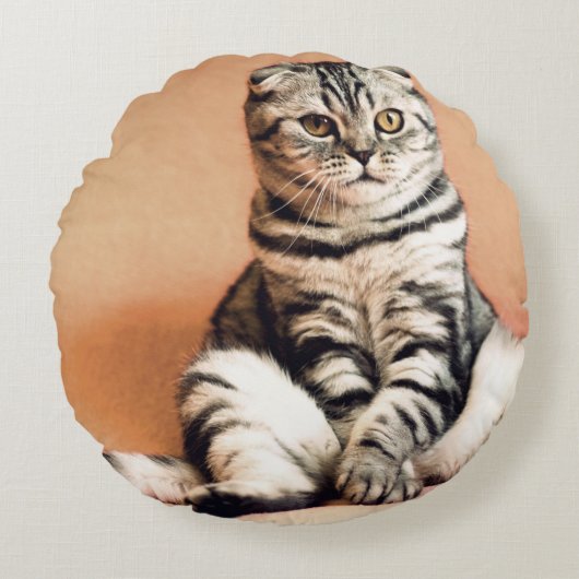 可愛い子猫が手足を伸ばした ラウンドクッション (正面)