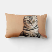 可愛い子猫が手足を伸ばした ランバークッション (裏面)