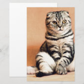 可愛い子猫が手足を伸ばした 便箋 (正面/裏面)