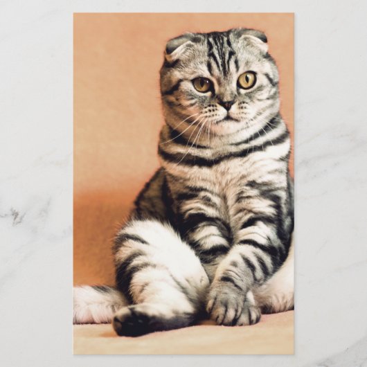 可愛い子猫が手足を伸ばした 便箋 (正面)