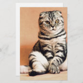 可愛い子猫が手足を伸ばした 便箋 (正面/裏面)