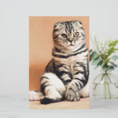 可愛い子猫が手足を伸ばした 便箋 (スタンド正面)