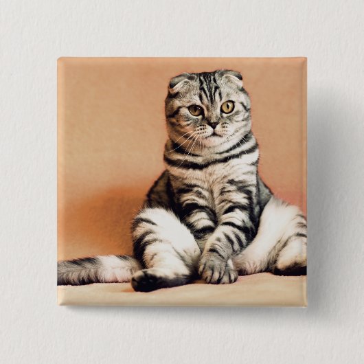 可愛い子猫が手足を伸ばした 缶バッジ (正面)