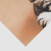 可愛い子猫が手足を伸ばした 薄葉紙 (詳細)