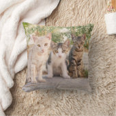 可愛い子猫が3匹一緒にフレンドリー座る クッション (ブランケット)