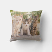 可愛い子猫が3匹一緒にフレンドリー座る クッション (裏面)