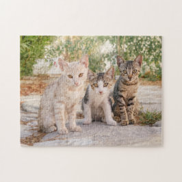 可愛い子猫が3匹一緒にフレンドリー座る ジグソーパズル