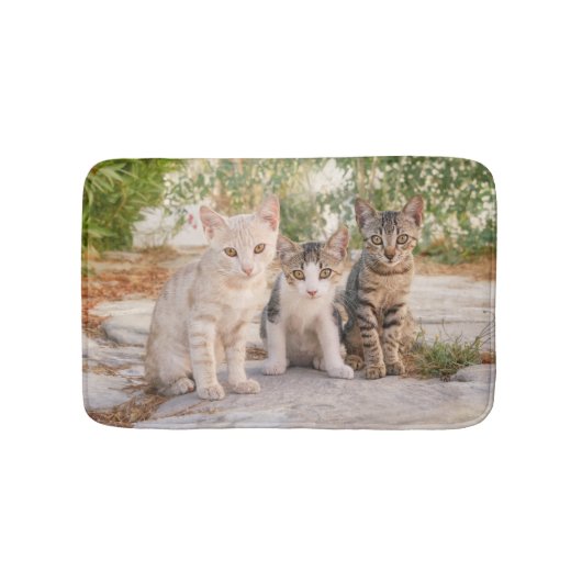 可愛い子猫が3匹一緒にフレンドリー座る バスマット (正面)