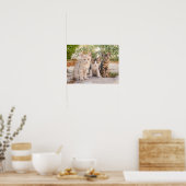 可愛い子猫が3匹一緒にフレンドリー座る ポスター (キッチン)