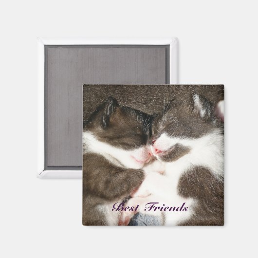 可愛い子猫の最高の友達カスタマイズ可能な磁石 マグネット (正面/裏面)