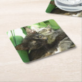 可愛い子猫 スクエアペーパーコースター (アングル)