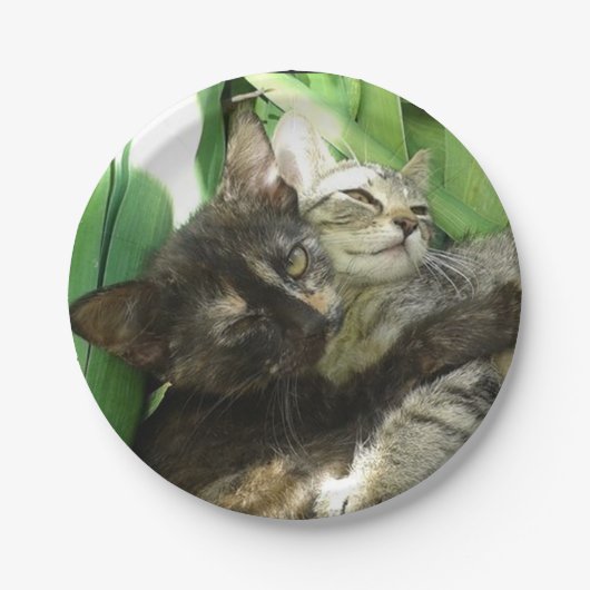可愛い子猫 ペーパープレート (正面)