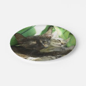 可愛い子猫 ペーパープレート (アングル)