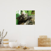 可愛い子猫 ポスター (キッチン)