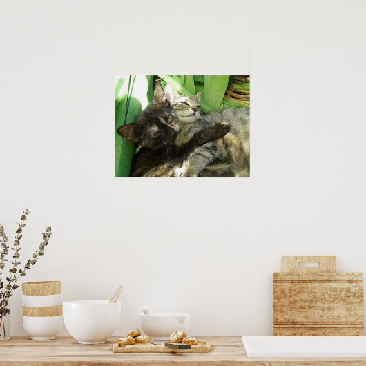 可愛い子猫 ポスター (キッチン)