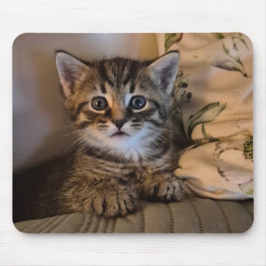 可愛い子猫 マウスパッド (正面)