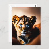 可愛い小さなライオンの可愛い青い目 ポストカード (正面/裏面)