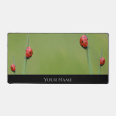 可愛い小さなラッキーなマインドセット用の前向きラディバグ デスクマット (正面)