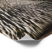 可愛い山嵐ポスター ポスター