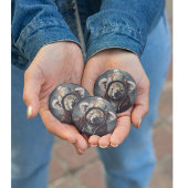 可愛い帽子をかぶった可愛らしいコアラ 缶バッジ