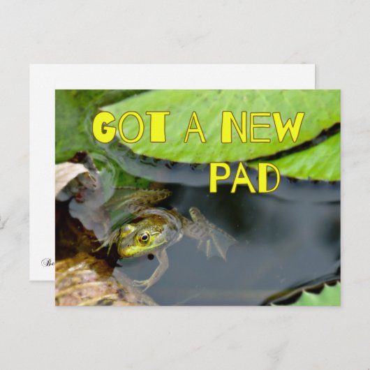 可愛い得新しいパッドカエル住所はがきの変更 案内ポストカード (正面/裏面)