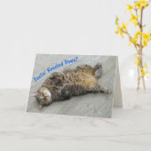 可愛い怠け猫が元気に カード (黄色い花)