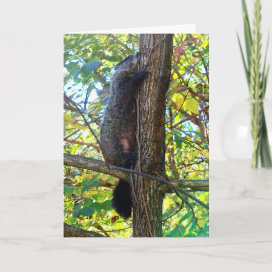 可愛い恋しく思あいさつきカード カード (正面)