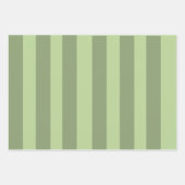 可愛い恐竜の赤ちゃんシャワーギフトラッピング紙 ラッピングペーパーシート (正面2)