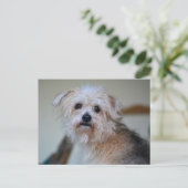 可愛い悲しいスクラッフィー恋しく思パピーのYou写真 ポストカード (スタンド正面)