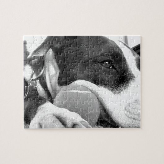 可愛い悲しそうな表情のピットブル犬の白黒とボール ジグソーパズル (横)