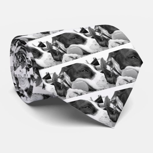 可愛い悲しそうな表情のピットブル犬の白黒とボール ネクタイ (ロール)
