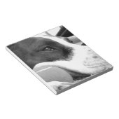 可愛い悲しそうな表情のピットブル犬の白黒とボール ノートパッド (アングル)