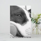 可愛い悲しそうな表情のピットブル犬の白黒とボール 便箋 (スタンド正面)