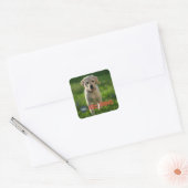 可愛い愛は犬の恋人の手を持っている引用文 スクエアシール (封筒)