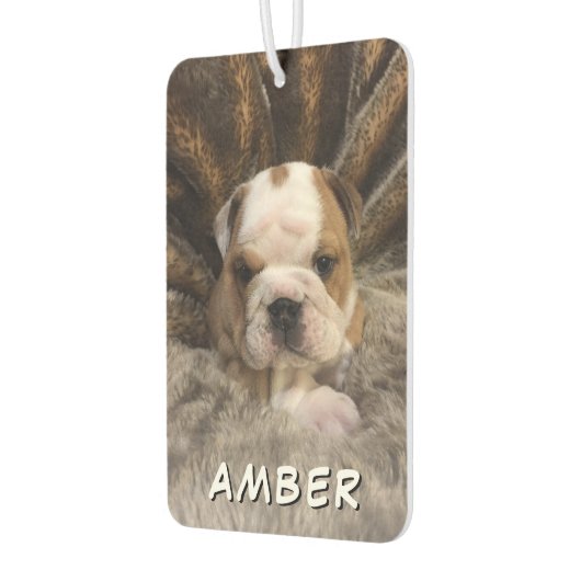 可愛い愛犬の猫名カスタム写真 カーエアーフレッシュナー (左)