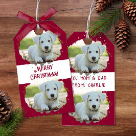 可愛い愛犬家パーソナライズされたフォトパターン赤 ギフトタグ