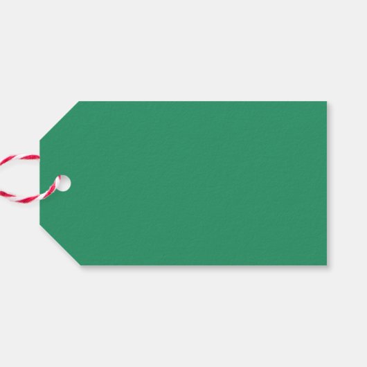 可愛い感謝していカラフルの赤ん感謝していどのシャワー ギフトタグ (裏面横)