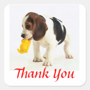 可愛い感謝beagle子犬グリーティングステッカー スクエアシール
