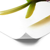 可愛い描写青銅翼のオウムの3D画像 ポスター (角)