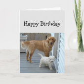 可愛い救済犬のユ食べーマをケーキに誕生日 カード (正面)