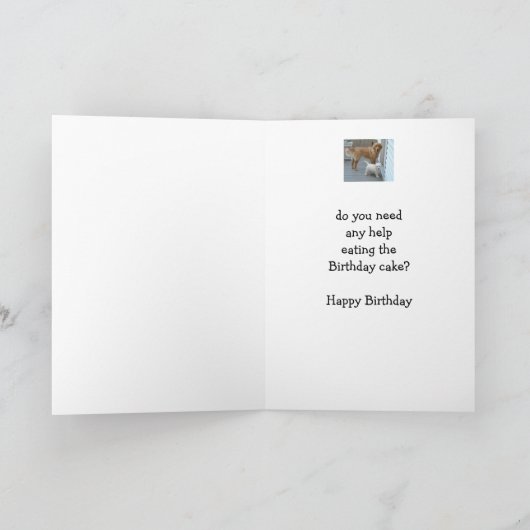 可愛い救済犬のユ食べーマをケーキに誕生日 カード (内部)