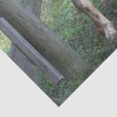 可愛い斑点つきフロッピー育てヤギティッシュペーパー 薄葉紙 (詳細)