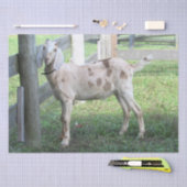 可愛い斑点つきフロッピー育てヤギティッシュペーパー 薄葉紙 (クラフト)