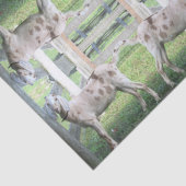 可愛い斑点つきフロッピー育てヤギティッシュペーパー 薄葉紙 (詳細)