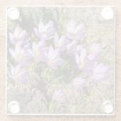 可愛い春 ガラスコースター (裏面)