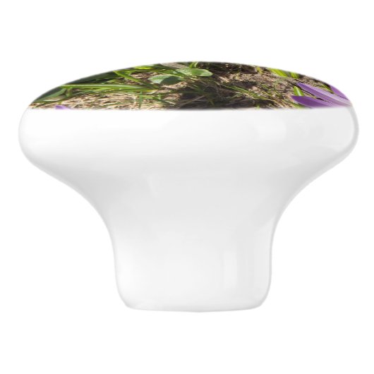 可愛い春 セラミックノブ (側面)