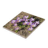 可愛い春 タイル (側面)