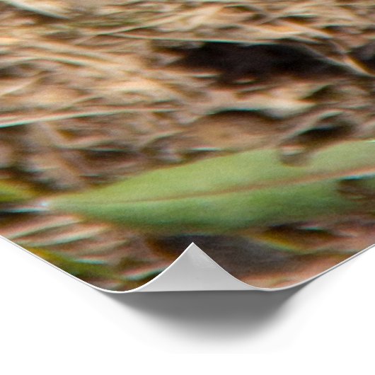 可愛い春 ポスター (角)